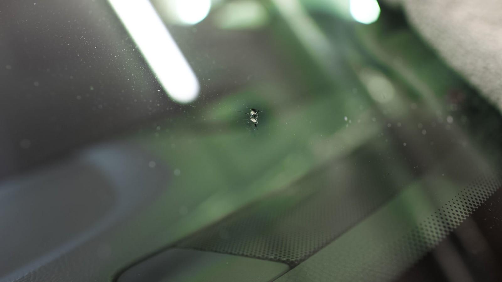 car windshield protection